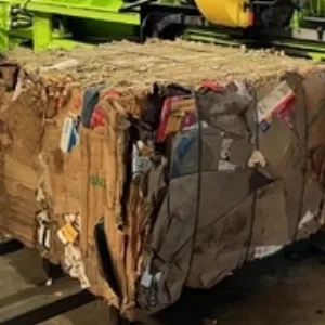Cardboard